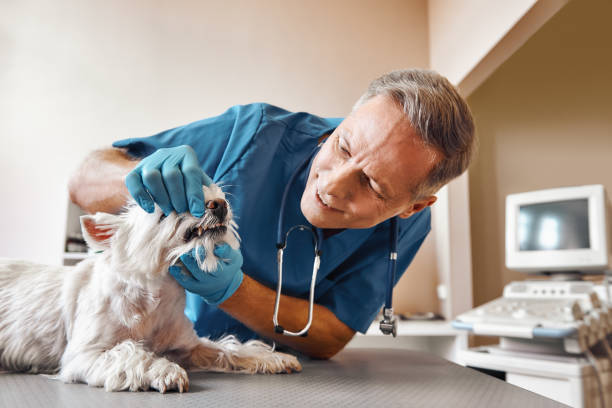 Best Weekend Emergency Dentist in Keller, TX